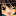 VIPワイドガイド