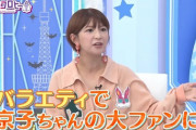 【日向坂46】矢口さん「うたばんやHEY!HEY!HEY!のような個性を出せる番組がない時代に1人で出てるのは凄い」