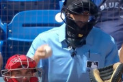 【野球】ボールを落としただけで退場。MLBの球審の沸点が低すぎると話題に