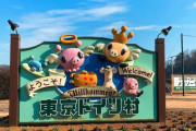 「東京ディズニーランド」「東京ドイツ村」 なぜ千葉県の大型施設には「東京」がよく使われるのか