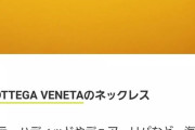 【画像】ボッテガヴェネタの最新ネックレス(24万7500円)がただの電話コードでワロタwww