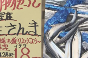 【悲報】札幌では衝撃の“1尾18円”…にわかに列島沸かせた『サンマフィーバー』連日豊漁ｗｗｗｗｗｗ