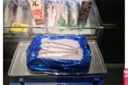【釧路】１キロ４万円…１匹５９８０円の超高級魚は「サンマ」　歴史的不漁で”過去最高値”