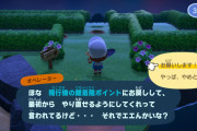 【たぐいのほのぼの島日記】メーデーツアーで謎解き迷路！１回でクリアできる？【あつ森】