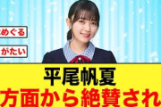 【大絶賛】平尾帆夏が多方面からめちゃくちゃ褒められる【日向坂46】