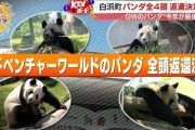 和歌山県について知っていること