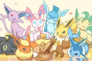 【画像】外人「ポケモンのブイズ限定人気投票やるぞ！」→結果がコチラ