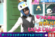 【櫻坂46】森田ひかる、あまりの可愛さにしょこたん絶叫w ヒャダインさんは"スペイベ"により完落ちへ【ポケモンの家あつまる？】