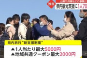 日本政府､自治体独自の県内観光支援策を補助　1人あたり最大7000円支援