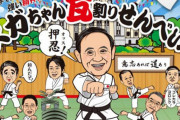 菅首相誕生のお菓子がいろいろ面白いｗ 晋ちゃんロードを遮る人などｗ