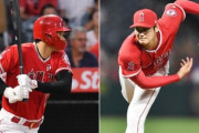 打者大谷と投手大谷ってどっちの方が凄いんや？