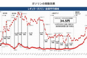 日本政府､ガソリン補助金を2024年1月以降も継続か なんでこれ減税しないの