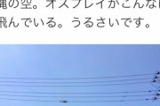 社民党党首 福島みずほちゃん「いやああ沖縄でオスプレイが飛んでるうぅぅ」 ← ただのヘリでした