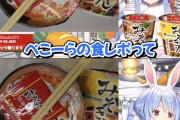 vtuber「忖度なしでヒカキンのラーメンレビューします！」ヒカキン「ほいよ。5.8万円ね」→結果