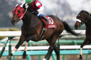 【G2馬】G1未勝利で歴代最強馬は何？