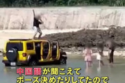 【悲報】レンタカーのJeepを海に乗り入れて車の屋根で撮影していたDQN、中国人観光客だった模様ｗｗｗｗｗｗｗｗｗ