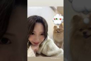 大沼晶保 あきほママとぷぐまるクンInstagram 櫻坂46