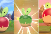 【衝撃】ポケモン「カジッチュ」の中身ｗｗｗｗ　カジッチュの元ネタも判明