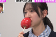 【日向坂46】浜田さん「腹立つ返し」金村美玖、色鉛筆でりんご飴を描いた結果がこちら！【プレバト】
