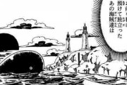 【ワンピース】何であの世界の海軍って双子岬に戦力割かないんや？？？？？？？？？？？？