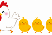１００日経過したひよこに対するニワトリの反応ｗｗｗｗｗｗｗｗｗ