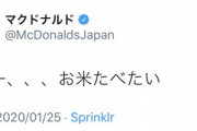 【速報】マクドナルドの新商品が謎すぎると話題にｗｗｗｗｗｗ