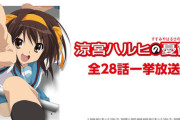 『涼宮ハルヒの憂鬱』、ニコ生で一挙放送決定！！11月30日は「エンドレスエイト」のみ