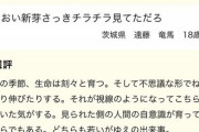 【悲報】ワイアスペ、伊藤園新俳句賞の文章が理解できない