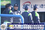 【3/20ヤクルト対阪神練習試合】ヤクルトが７－２で阪神に快勝！エスコバー先制打！阪神は西が３回３失点