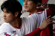 大谷翔平の後ろにずーーーーーーーーーっとついてる男いるけど、あれってなんなの？