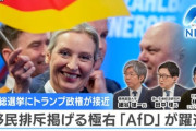 ドイツ「え・・・？まだ移民とか受け入れて偽善ぶってるんですか？もうそのネタ古いですよ（笑）」石破自民党「・・・」