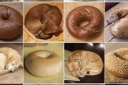 【画像】美味そうなベーグルｗｗｗｗｗｗｗｗｗｗ【飯テロ】