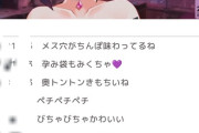【悲報】VTuberのコメント欄、地獄絵図すぎるｗｗｗｗｗｗｗ