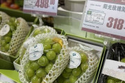 韓国人「中国で韓国産シャインマスカットが大人気！K-FOODが中国プレミアム市場で大成功！」　韓国の反応