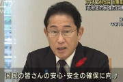 岸田首相「国民の安心安全の確保に向け花粉症対策を強力に進める」スギ人工林の伐採区域設定へ