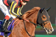【朗報】馬産地で大人気！種牡馬オルフェーヴルが満口に！