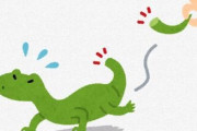 【ナゾロジー】トカゲは何回「切れた尻尾」を再生できるのか？