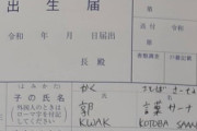 韓国人とフィリピン人のカップル、日本の役所に子どもの名前を却下されブチギレ