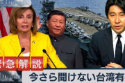 韓国大統領府「ペロシ議長とユン大統領は会わない」と断言。なおペロシのアジア歴訪で国のトップと会わない唯一の国となる模様
