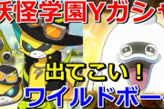 【妖怪ウォッチぷにぷに】妖怪学園YガシャでZランク『ワイルドボーイ』狙いで最大100連覚悟で回したら・・・！？（ニャン速ちゃんねる）