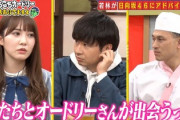 【日向坂46】オードリーとの2019年がハンパなかった件