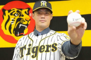阪神チェンが米国へ帰国　今季１軍で２試合のみ登板