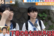 【朗報】白のパンティを履いてる女子高生が見つかる