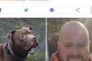 【イギリス】発作で倒れた男、飼い犬に何度も噛まれて殺される