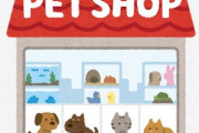 【謎】ペットショップで売れ残ったペットの末路