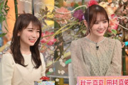 やっぱ乃木坂46はビジュアル強いな！！！　秋元真夏、田村真佑が「ナニコレ珍百景」に出演！