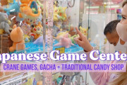 海外「店員さんナイス！」「これは夢中になる！」日本のゲームセンターの様子に興味津々
