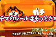 【スプラトゥーン2】ガチマで「細かいルール知らねぇのか？ボケが！」シーン良くあるけどこれってさ・・・
