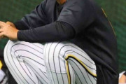 阪神・梅野　練習中に右肩肉離れ発症も開幕に望み　帰阪後にキャッチボール再開へ