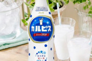 「これは秘密なんだけど、カルピスは水じゃなくて◯◯◯で割って飲むと飛ぶぞ。あり得んくらい美味い」　→　満場一致で一番美味い飲み方に決定ｗｗｗｗｗｗ